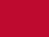 Robison-Anton Polyester - 5581 Jockey Red